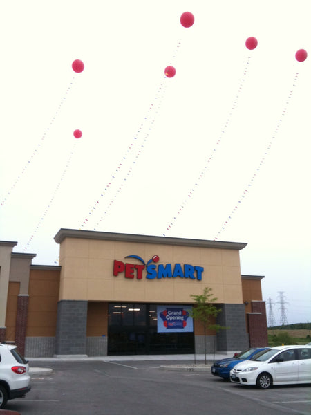 5.5 foot Cloudbuster Balloons